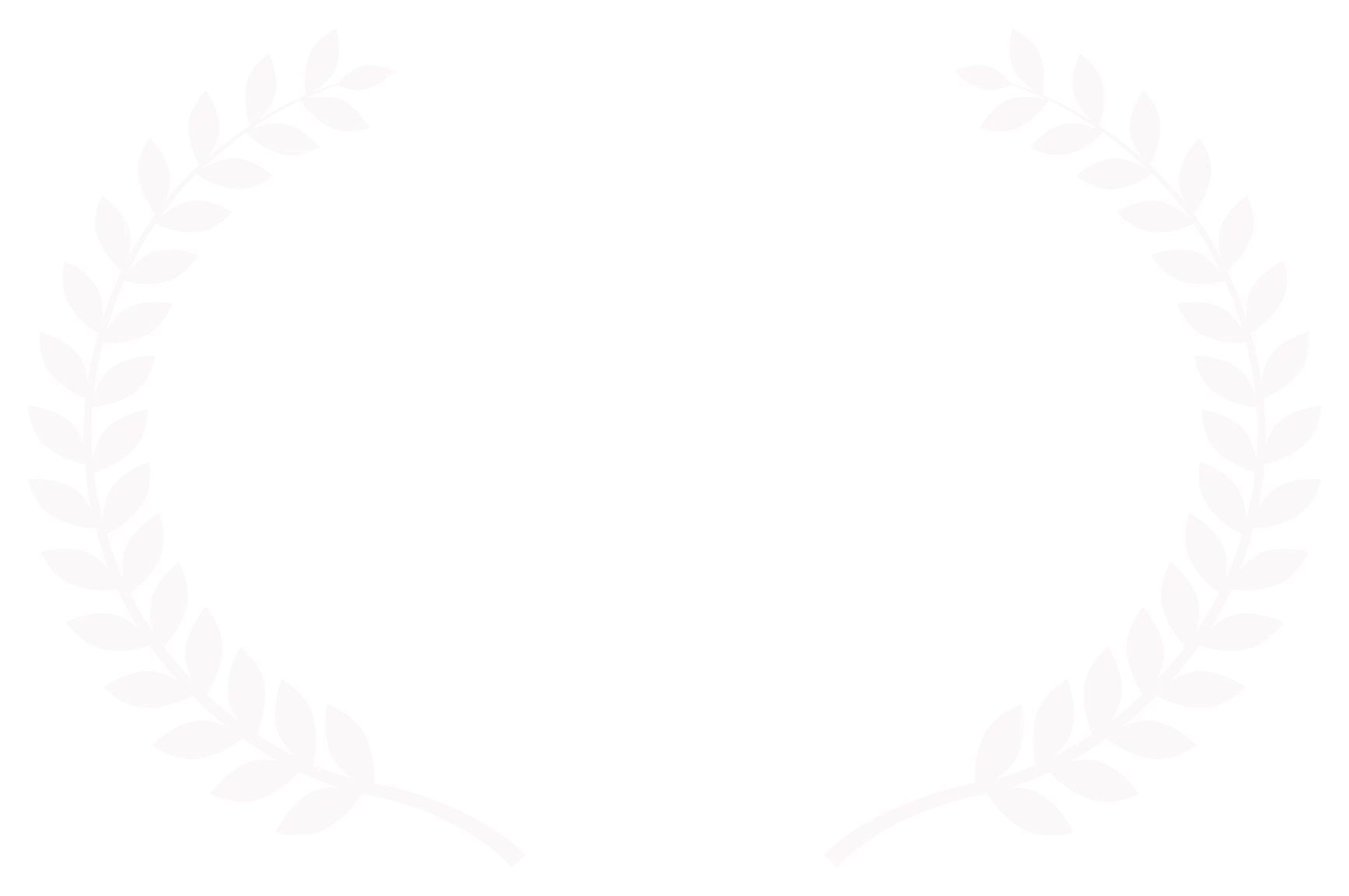Prix horror au concours Kosice international film festival